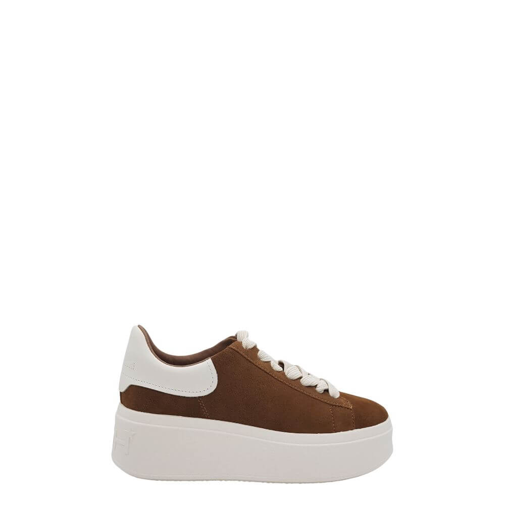 Ash Moby03-sneaker donna marrone suede-a/i 2024